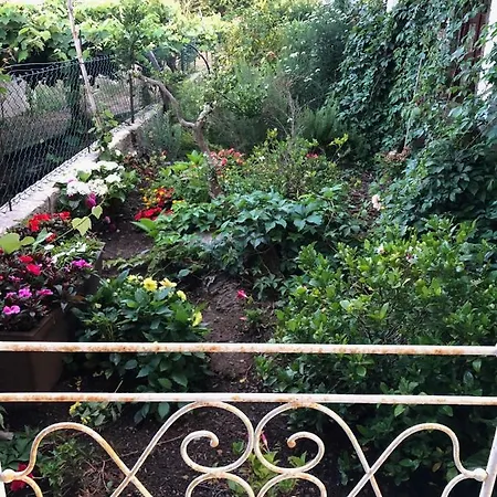 Accommodatie bij particulieren Alminha Vila Nova de Cerveira